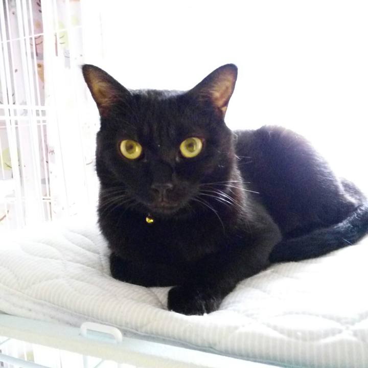 D9eb2000 e1b9 4ad1 b96c 8b2447b9ebb4