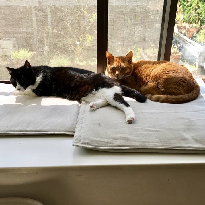 D9eb4caa 3413 43ba 8087 d46dac5bfec0