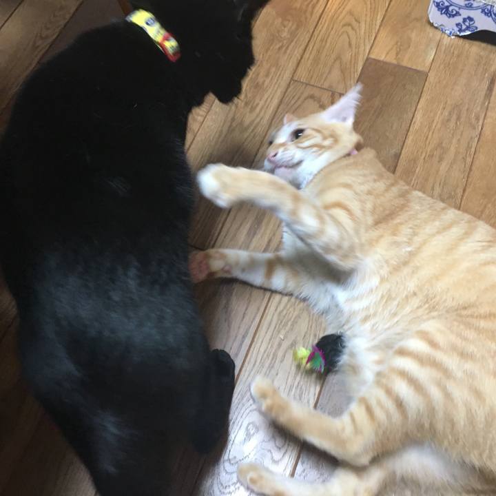 D9ebad71 79b5 45c8 ba02 812e9e7c8e48