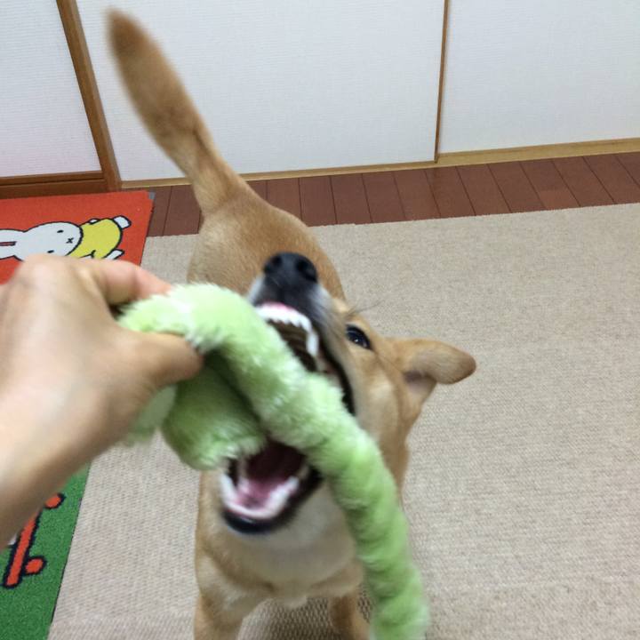 D9ebba88 4b34 4612 b19d 4f612bf943f0