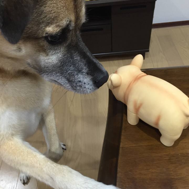 D9ec0f90 ba33 4aee bbe7 0a3b9694a5fc