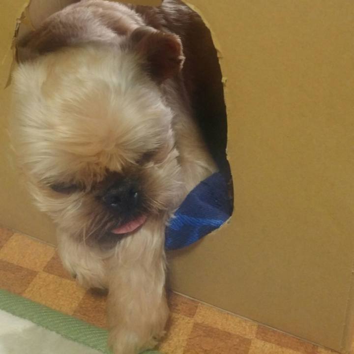 D9ec1878 12e7 4256 af60 7599a84a8206