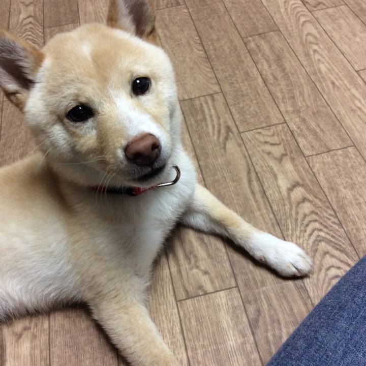 D9ec2918 9bd7 4e69 a31f 0e848c656628