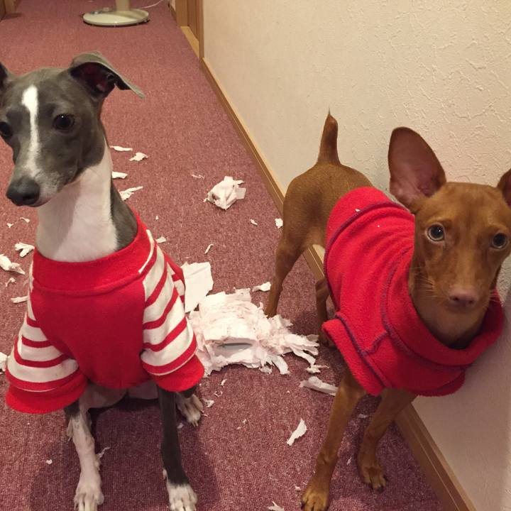 D9ec2c85 14ed 4518 9487 3c2d5edbde46