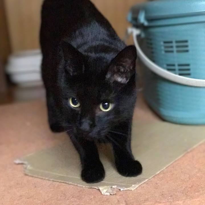 D9ec4d7d 4d98 488f 8767 4ff5daab878c