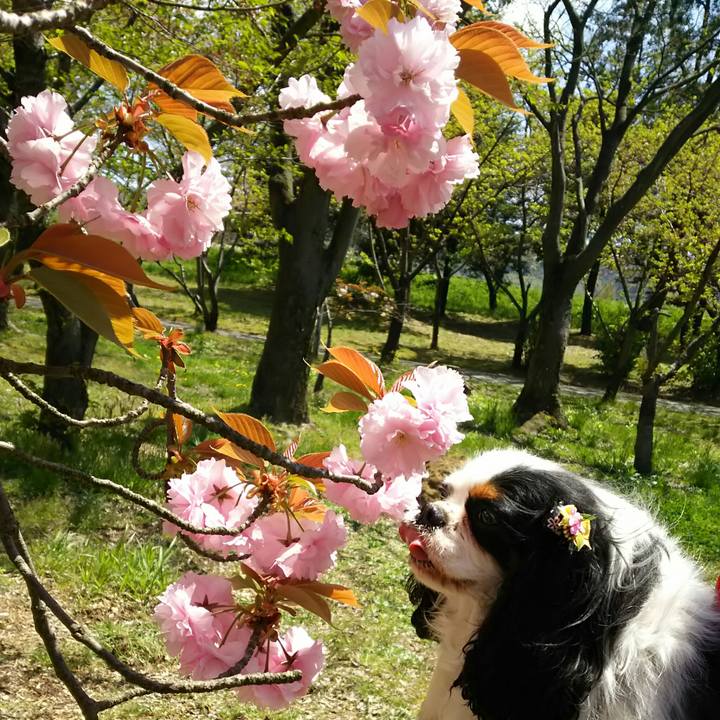 D9ec67d7 07ea 424d 9bd0 86133b84ff8d