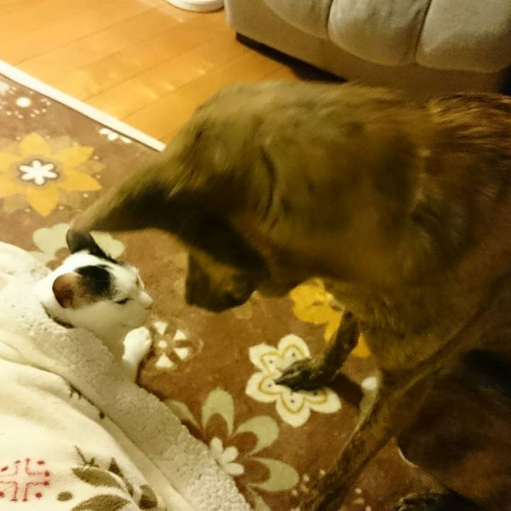 D9ecc600 35c0 4e83 97ec 14288c596146