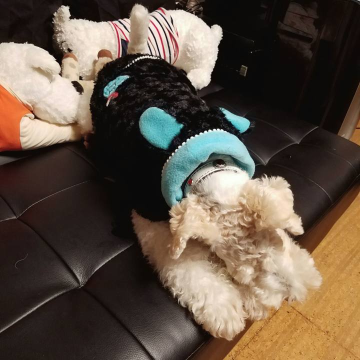 D9ecd406 b955 4617 a6cf f0ec4f342fde