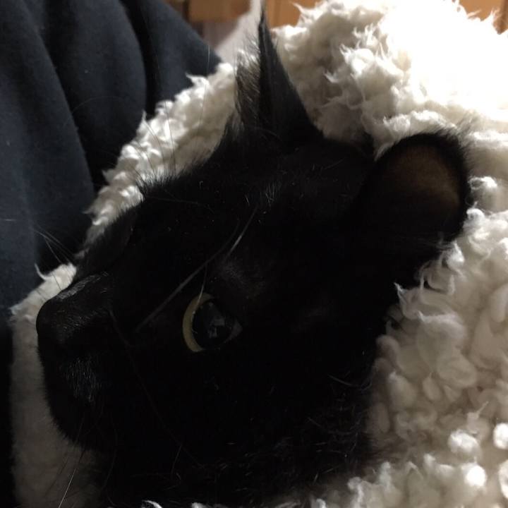 D9ed0b30 baba 44f6 98c8 00f2c6a906d0