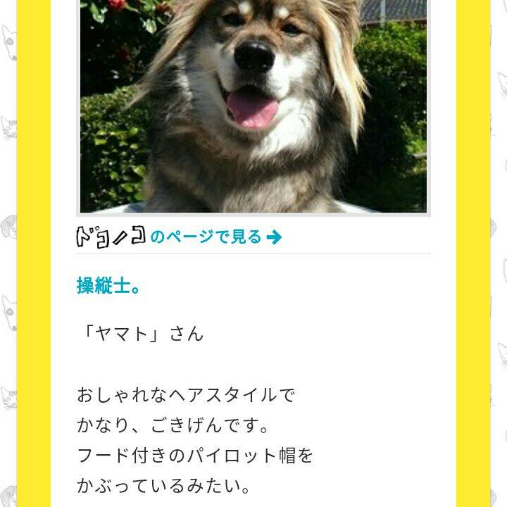 D9ed3bdd aaa3 407f b930 3428205dbc3d