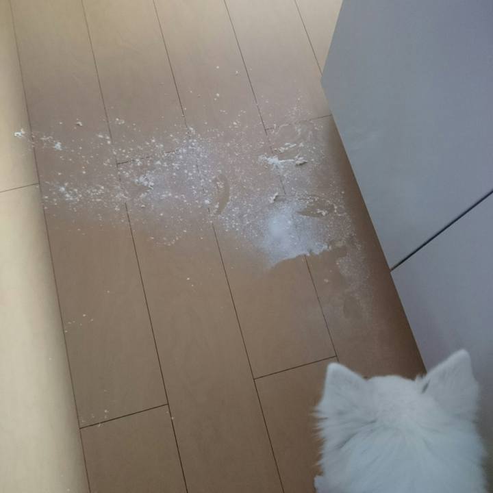 D9edbecd 27e3 4ff3 99aa be8183b78d58