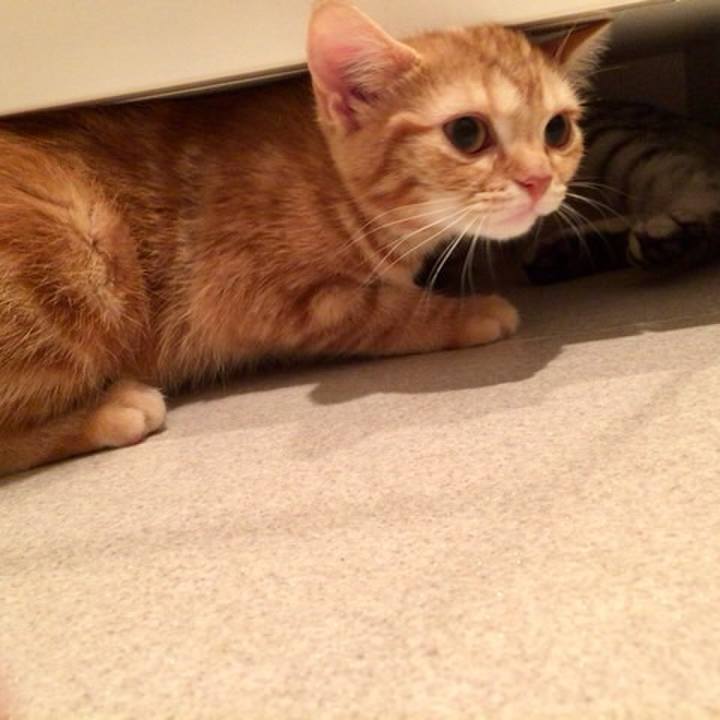 D9ee0151 9a3e 4307 b2da 27c40c253211