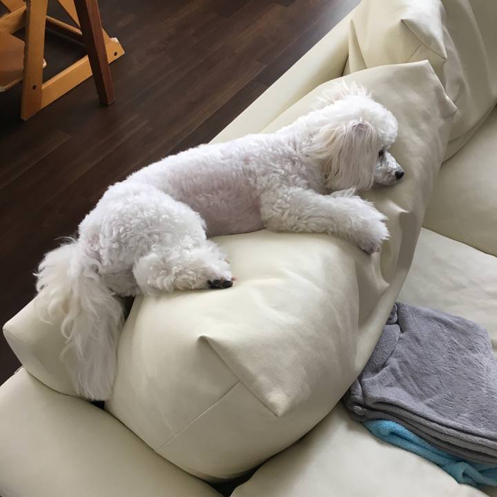 D9ee3f44 623d 4bce 831e 6ca95647f173