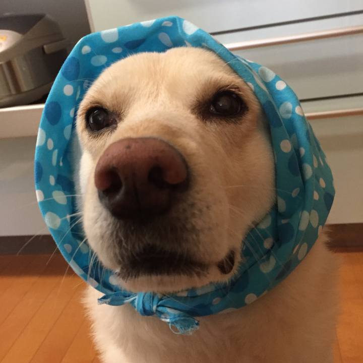 D9ee8473 bf41 4b1d a0c7 d0873ec0f76a