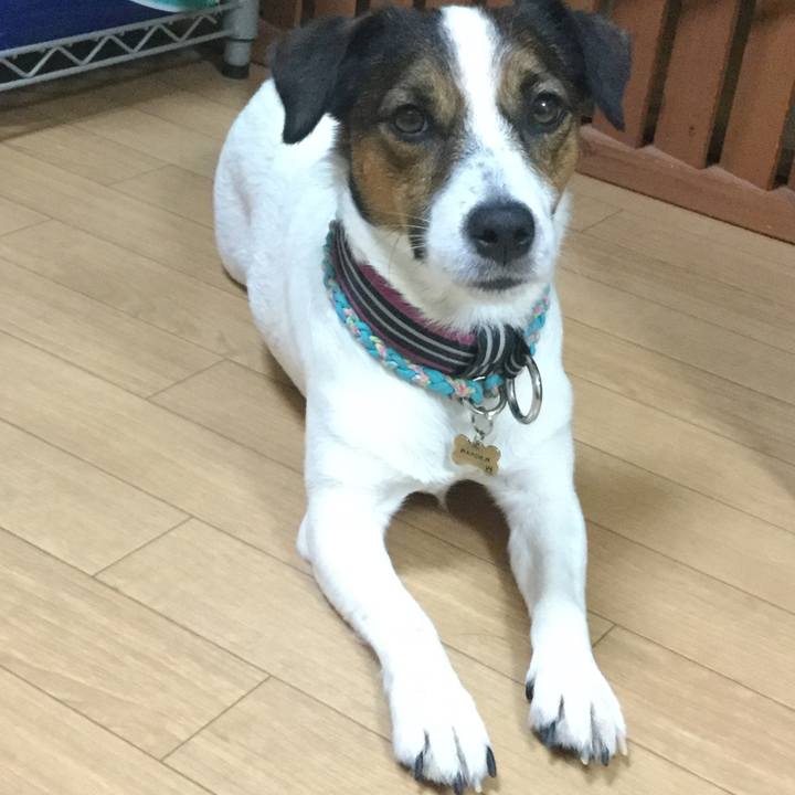 D9ee8966 e05c 4d74 899a 894dd9bcd32a