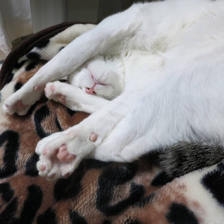 D9eec6cc 859a 4cd7 8a6d 4ebf42baff91