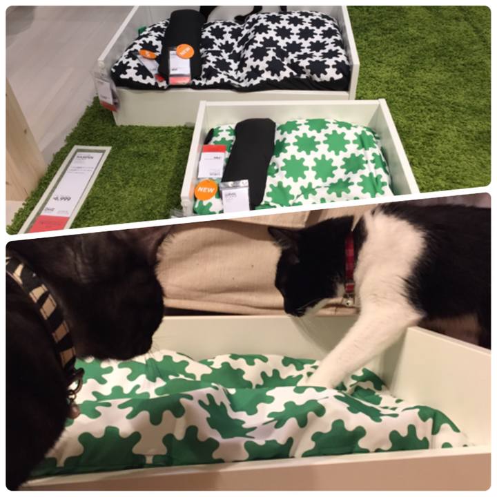 D9eed917 7165 485a 8514 51415a07fcb3