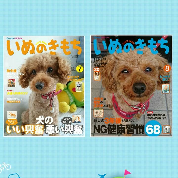 D9ef8e47 c275 4c60 b7a3 a5ade2003f29