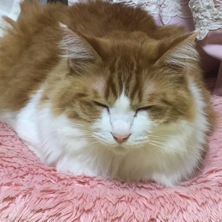 D9efb9fd d945 417a 9fb3 1ccd7c2883e7