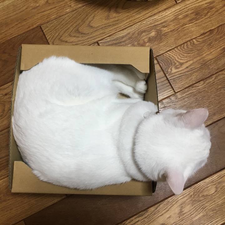 D9efd14c 7698 4417 8a10 a7de03b9e625