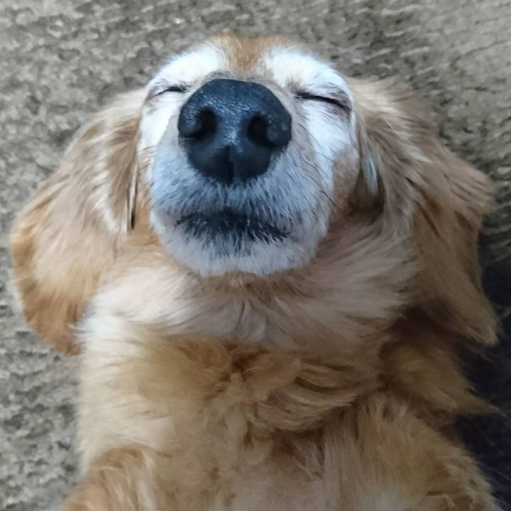 D9efefa7 1b12 4d70 99bf b55f318d26ca