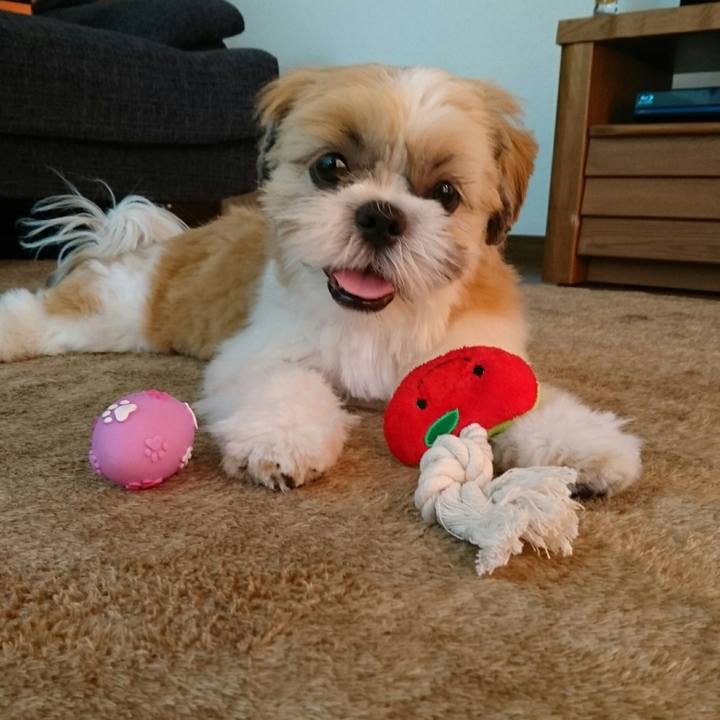 D9f022e5 076b 4f44 8b3c b58a90b41d0f