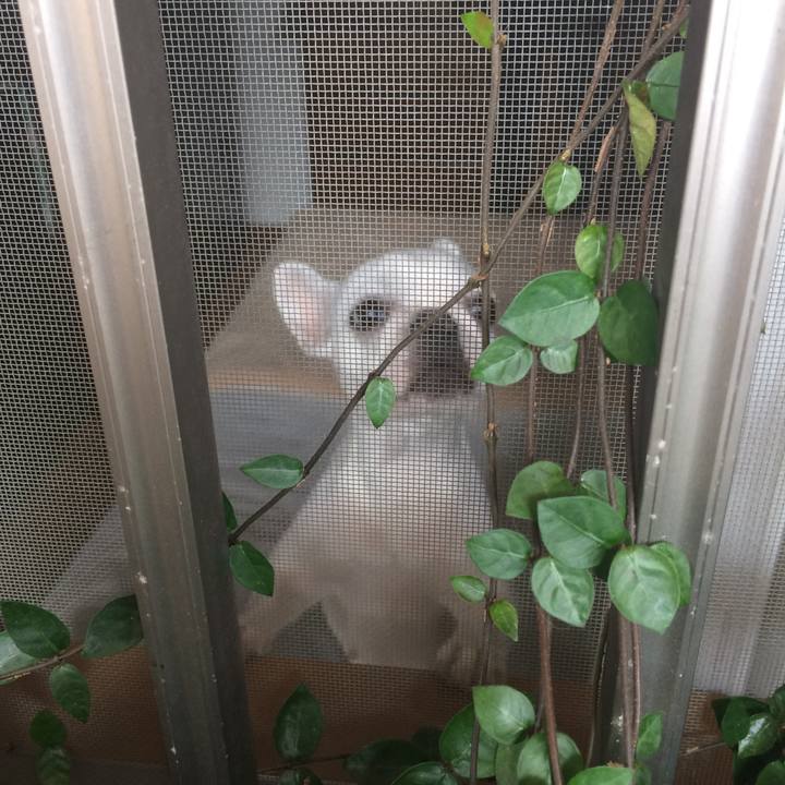 D9f0533f 075d 409f 8220 11725b2ecfbf