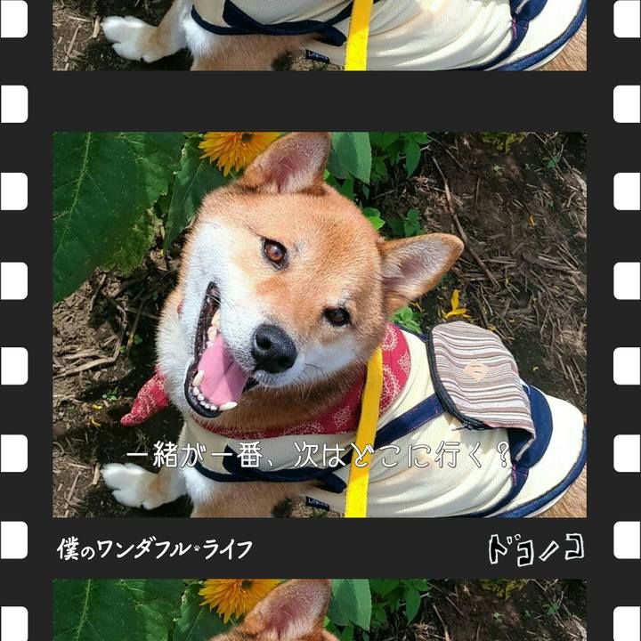 D9f06359 5dbc 42f7 b6a6 0dfbfedcc2d4