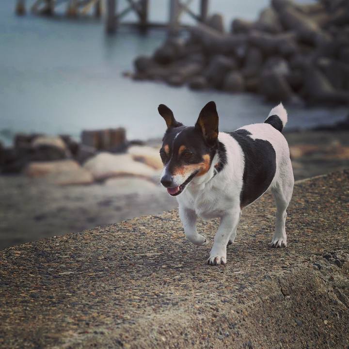 D9f07726 15dd 45e0 82fa 36b24348aef8