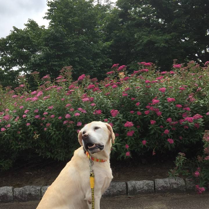 D9f0a9d4 9cb4 4be4 b1fd 0e0b65e10e86