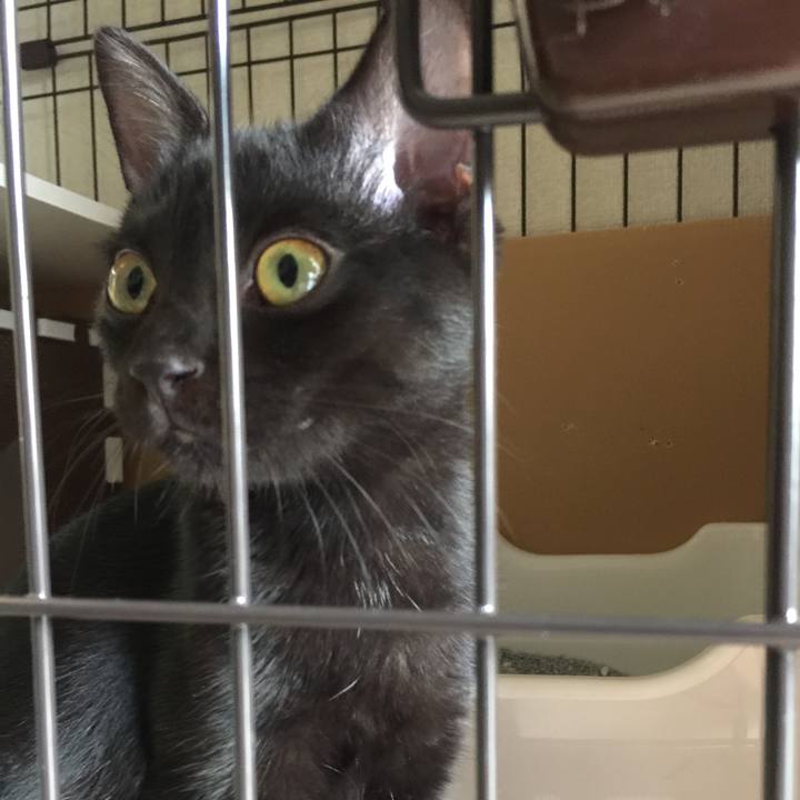 D9f1c6cb 5416 4f9b 8129 a15e38df40bc