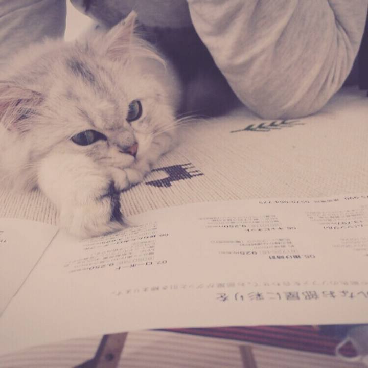 D9f1d1f7 471d 4053 89a7 d582737a65ec