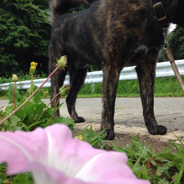 D9f226fb 439a 442b bdd1 64f4b878b5c9