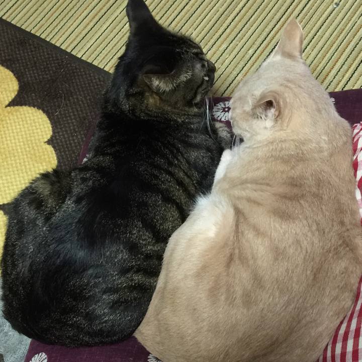 D9f23237 b361 467f b167 25b55b8a5c49