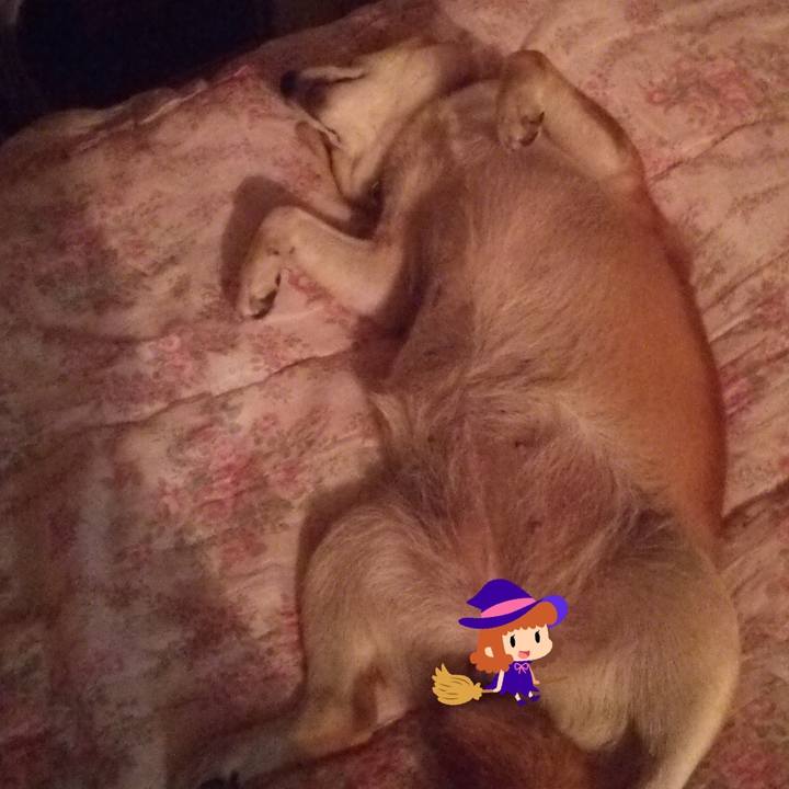 D9f3d186 1b01 4022 913a c2b2c8ee9d81