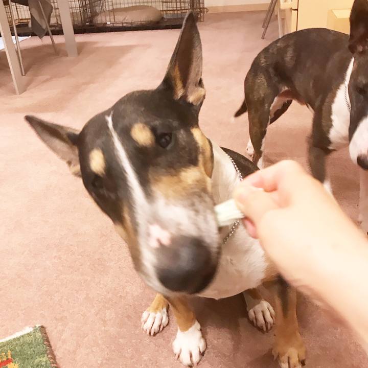 D9f3d980 3a41 424c 9a92 2dedd70c4e82