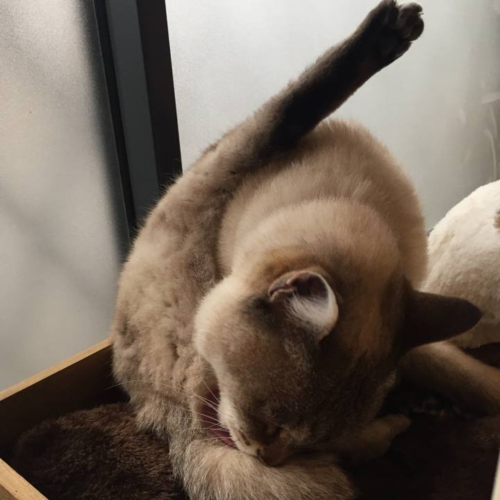 D9f3dbd6 8aa6 47b2 9a3f 62548d0f72cd