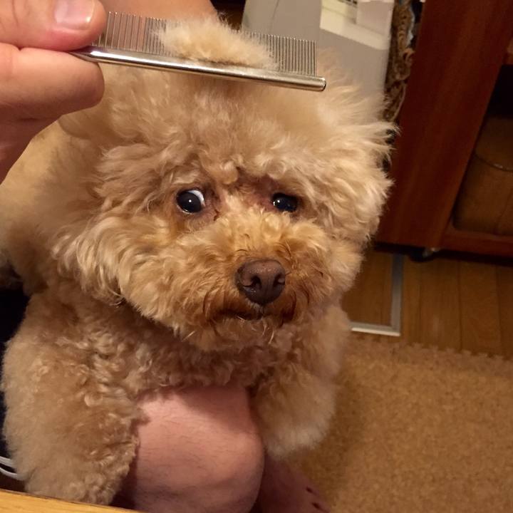 D9f48ff5 57b8 4ee3 a793 3fd1bac914a5