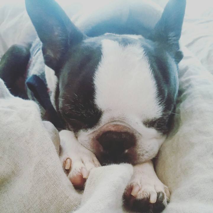 D9f50938 45a0 4a8c bf4a d5b9625b734f