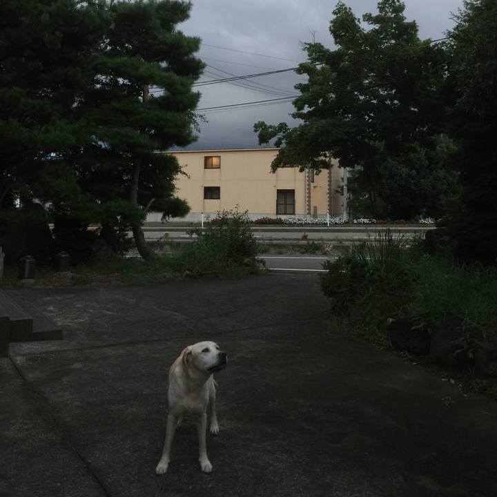 D9f54b6e a604 4bcf b952 6e2b026532eb