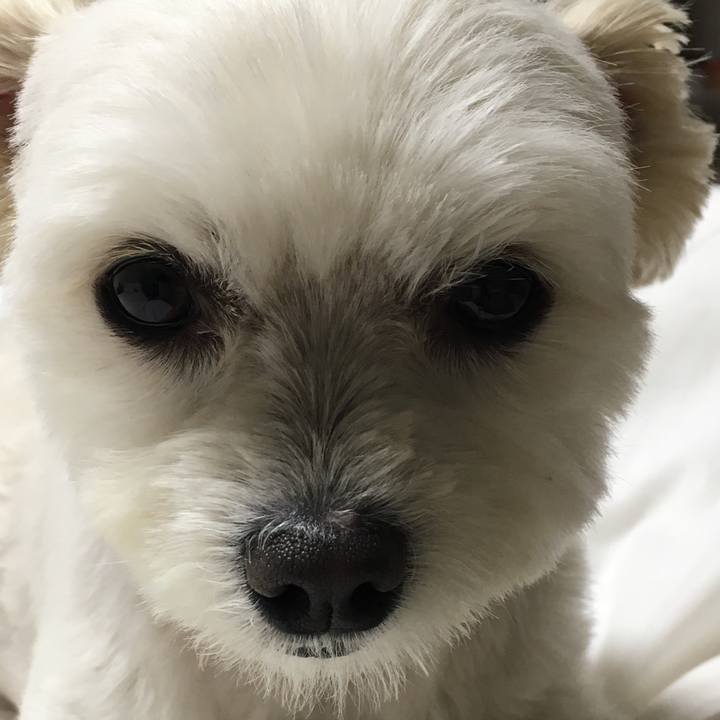 D9f6ae0f 6631 4c92 92f1 873ffc5bc4d9