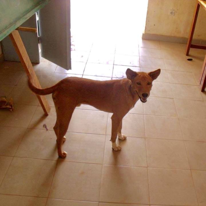 D9f6b528 7022 466f b37d 858a5f26bbef