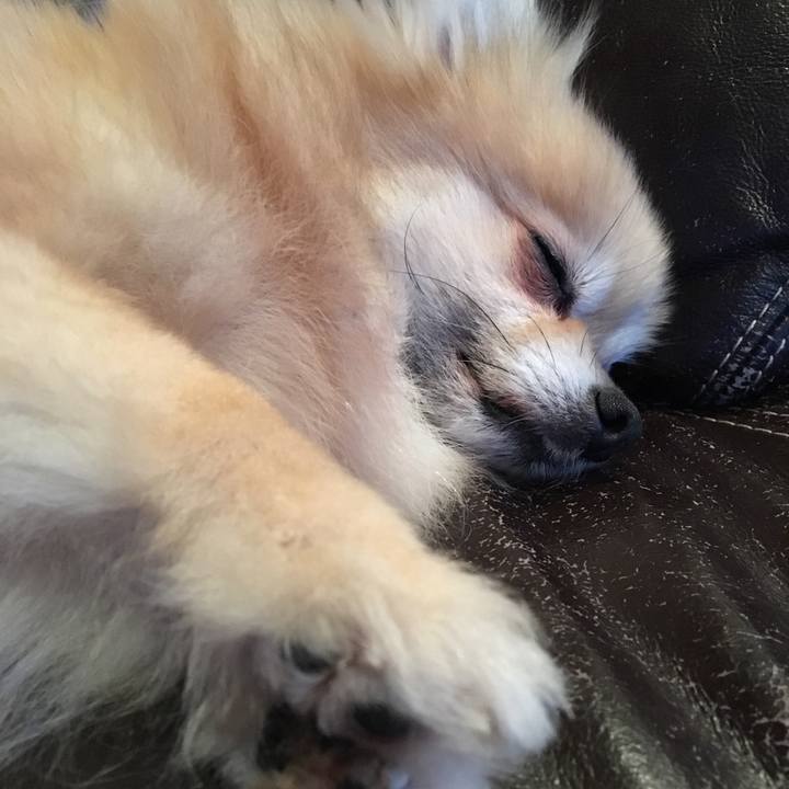 D9f82e6c 01e9 4b57 9526 6de710559e5d