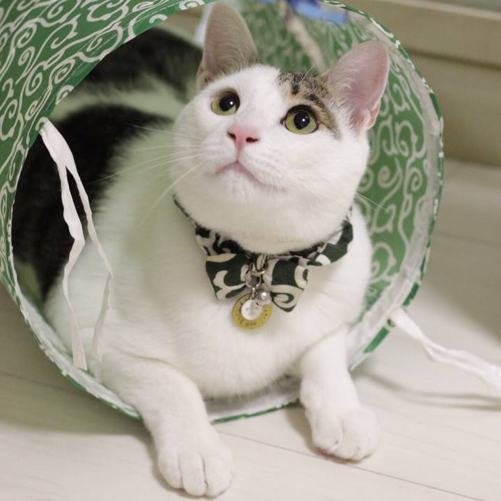 D9f83947 c226 425f 8810 ab5ba1b33f8a