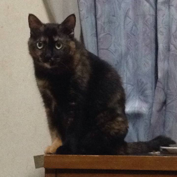 D9f85264 1c19 458d ad01 105057aa27d8