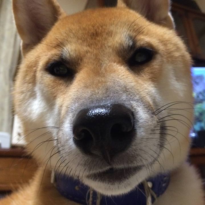 D9f9dcd1 7543 4514 a055 496987e2539d