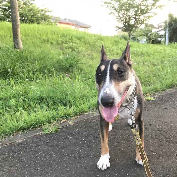 D9fa066f b860 4696 91ab bb94f1359f2a