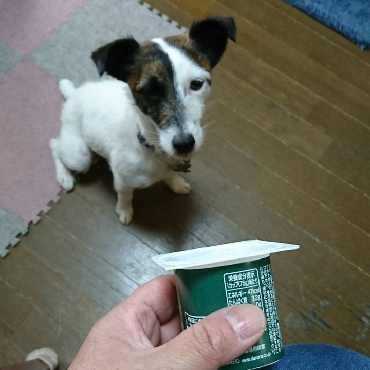 D9fa299f cfc8 45dd 8335 33bfb312551a