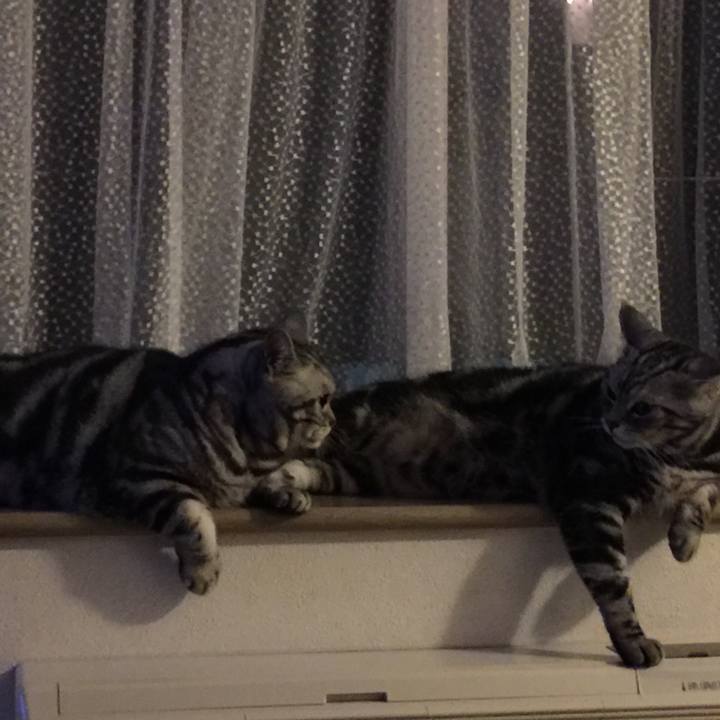 D9fa4c6c 5c6f 41aa 83e1 2d7413022503