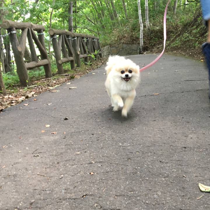 D9fa6636 cde7 46a4 8fd8 b3abff338bfd